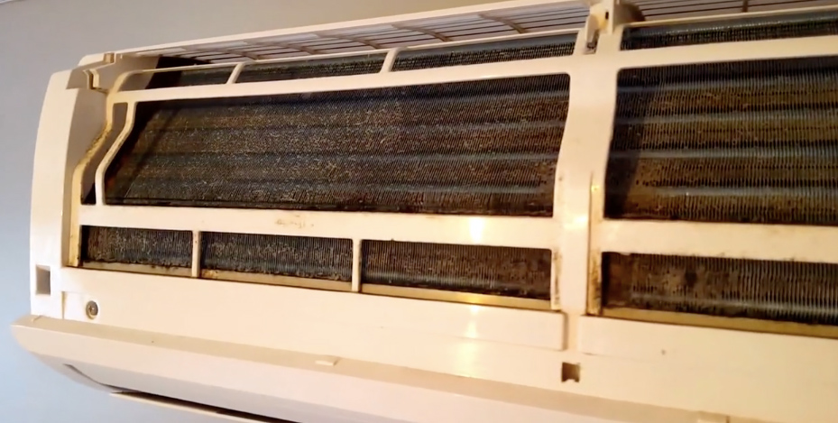 Dust and mold on the louvers of a heat pump